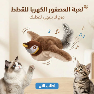 الحيوانات الأليفة